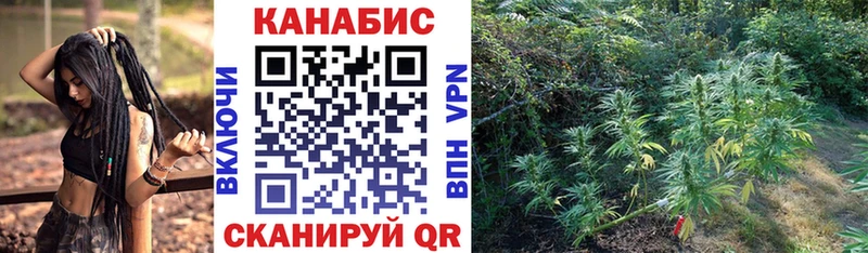 хочу наркоту  Гурьевск  Бошки Шишки OG Kush 
